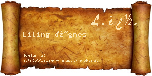 Liling Ágnes névjegykártya